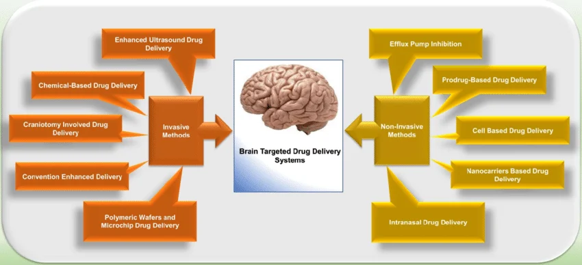 Drug delivery systems used for targeting the brain. The two major drug delivery strategies are invasive and non-invasive. Invasive drug delivery,methods,physical barriers,,Non-Invasive Drug Delivery