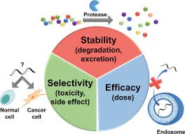 Cell-penetrating peptides, cell membranes,Cargo molecules,limited stability, selectivity and efficacy