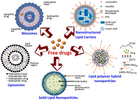 nanocarriers,macromolecules ,nanoparticles, biological applications