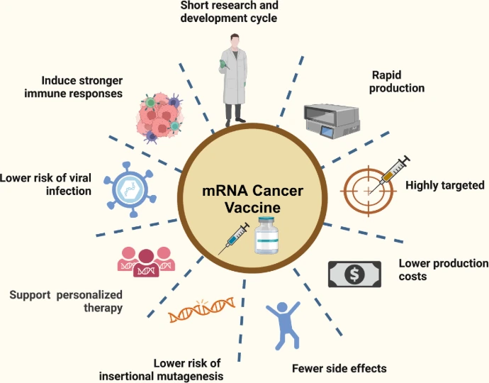 mRNA,cancer vaccines, cancer vaccines,development