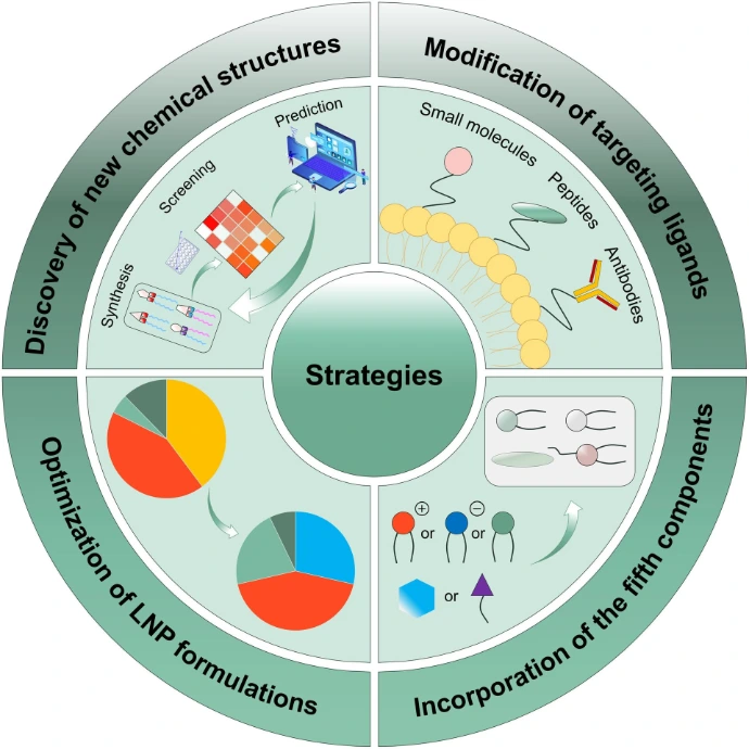 organ-targeted-mRNA-delivery