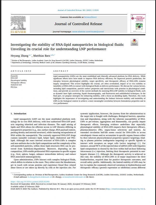 Lipid nanoparticles ,protein production,stability,,biological fluids Investigating the stability of RNA-lipid nanoparticles in biological fluids