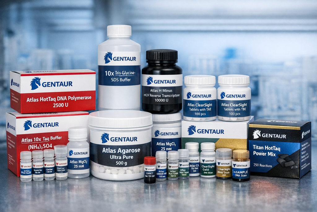 10x PBS Buffer Solution